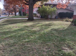 Leaf Removal by Shonna Wilkinson for Mike T. in Urbandale, IA