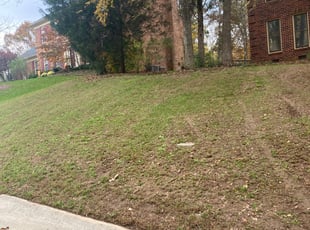 Leaf Removal by Daniel Reyes for James M. in Matthews, NC