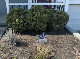 Bush Trimming by Ronald Lindsay for Sandra H. in Knoxville, TN