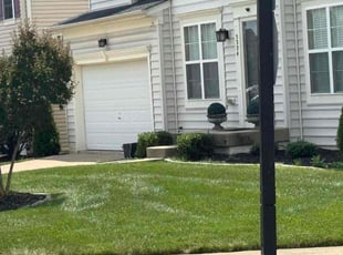 Suzy C.'s Bush Trimming service result