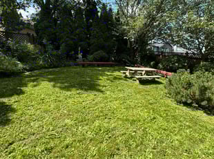 Alfredo G.'s Lawn Mowing Service service result