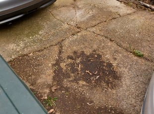 Leaf Removal by Devin Taylor for Jennifer H. in Memphis, TN