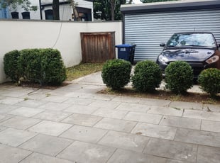 Cleanups by Terrence Hawkins for Tripp C. in Washington, DC
