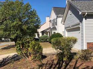 Bush Trimming by Brandon Brewer for Chris D. in Charlotte, NC