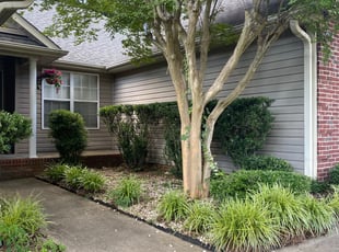 Bush Trimming by Daniel Reyes for Daniel M. in Charlotte, NC