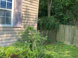 Charlotte C.'s Bush Trimming service result