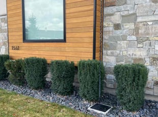 Bush Trimming by Shelveen Prakash for Kira S. in Bluffdale, UT