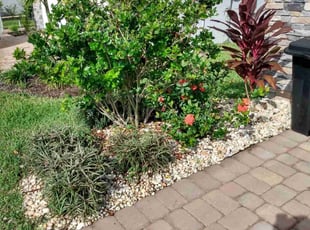 Weeding by Kenneth Mitchell for Maria S. in Parrish, FL
