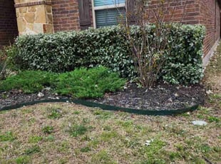 Marcus C.'s Bush Trimming service result