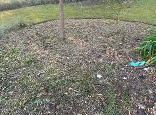 Weeding by Bryan Govantes for Casey A. in Tallahassee, FL