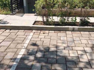Leaf Removal by Allan Roberts for Deanna D. in Washington, DC