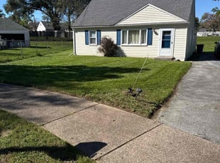 Tammy Y.'s Lawn Service service result