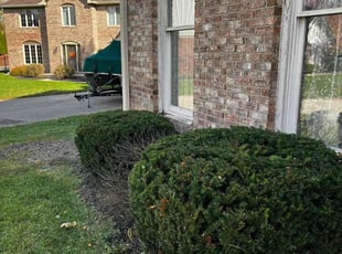 Bush Trimming by Broderick Wilson for Bradley B. in Noblesville, IN