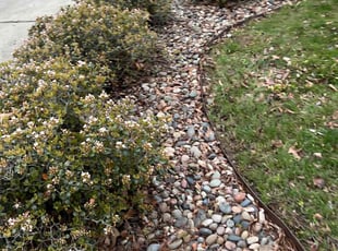 Bush Trimming by Theodore Weir for Karen R. in Virginia Beach, VA