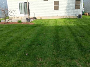 Shawn G.'s Grass Cutting service result