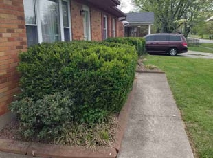 Bush Trimming by Jaden Benn for David G. in Louisville, KY
