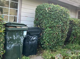 Bush Trimming by Gabriel Aldrete Contreras for Joseph C. in Fair Oaks, CA