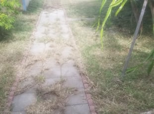 Landscaping by Melecio Rivera for Jordan G. in Corpus Christi, TX