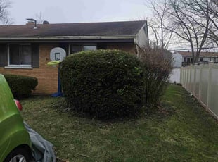 Bush Trimming by Nicholas Weber for Pat R. in Forest Park, OH