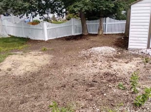 Tony M.'s Cleanups service result