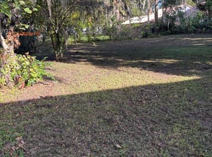Cleanups by Izaiah McCante for Donal P. in Port Orange, FL