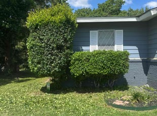 Bush Trimming by Rhett Lambas for Vicario C. in Arlington, TX