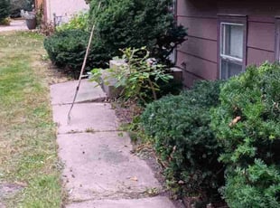 Bush Trimming by Rob Cordes for Soleakhena H. in Mounds View, MN