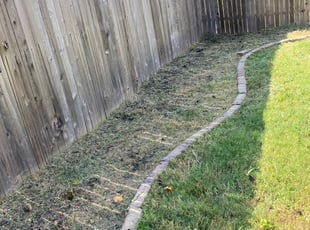 Cleanups by Simona Patton for Haley T. in San Antonio, TX