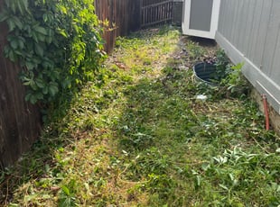 Cleanups by Sebastian Heinrich for Sandra L. in Aurora, CO