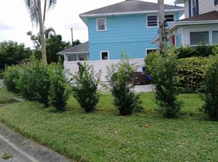 Gary S.'s Lawn Service service result