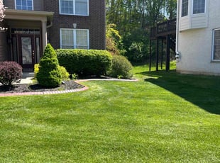 Bush Trimming by Tywuan Williams for Ronald C. in Indianapolis, IN