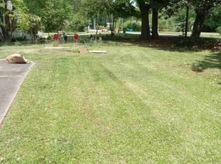 Cleanups by Lionel Lee for Johnny C. in Decatur, GA