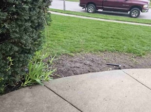Leaf Removal by Carlyle Drummond for Dan M. in Palatine, IL