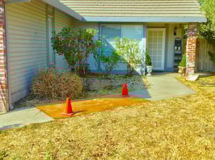 Bush Trimming by Chris Davis for Alice C. in Antelope, CA