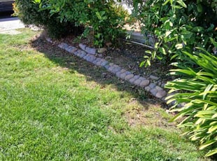 Weeding by Dustyn Roberts for Sasha M. in San Diego, CA