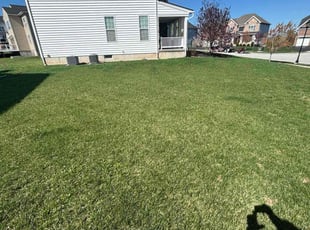 Hendrix L.'s Lawn Service service result