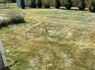 Cleanups by Austin Hill for Eric B. in Kentwood, MI