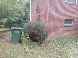 Bush Trimming by Irving Booker for Travis B. in Richmond, VA