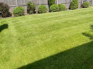 Weeding by Luis Contreras for Jeffrey C. in McCordsville, IN