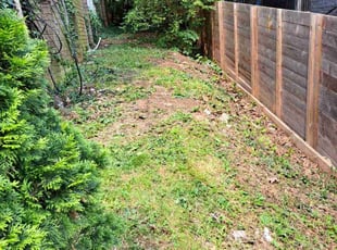 Cleanups by Jose Paz for Julie V. in Washington, DC