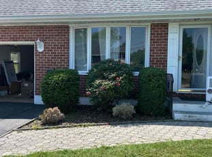 Shannon R.'s Bush Trimming service result