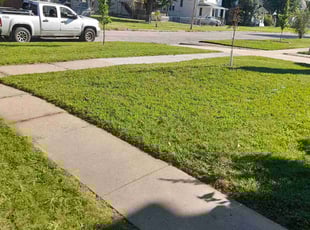 linda m.'s Grass Cutting service result
