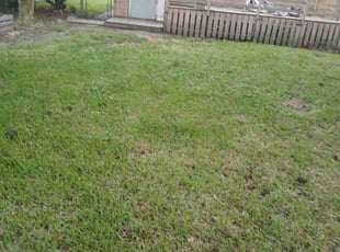 Aeration by Stanley Lassiter for TATYANA B. in Virginia Beach, VA