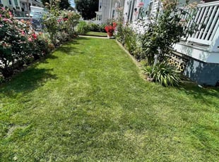Leaf Removal by Steve Valverde for Liz M. in Pawtucket, RI