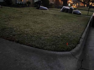 Leaf Removal by Victor Ramirez for Elaine C. in Arlington, TX