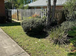 Bush Trimming by Travis Frederickson for Marcus A. in Navarre, FL