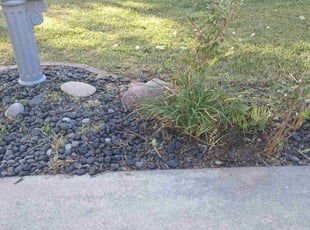 Bush Trimming by Lamonee Jackman for Enedina A. in Omaha, NE
