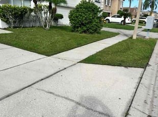 Dhayalan R.'s Yard Cutting service result