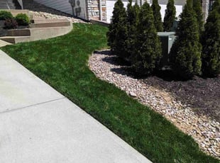 Richard B.'s Yard Cutting service result