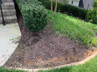 Weeding by Manuel RuizDiaz for Debra P. in Lenoir City, TN